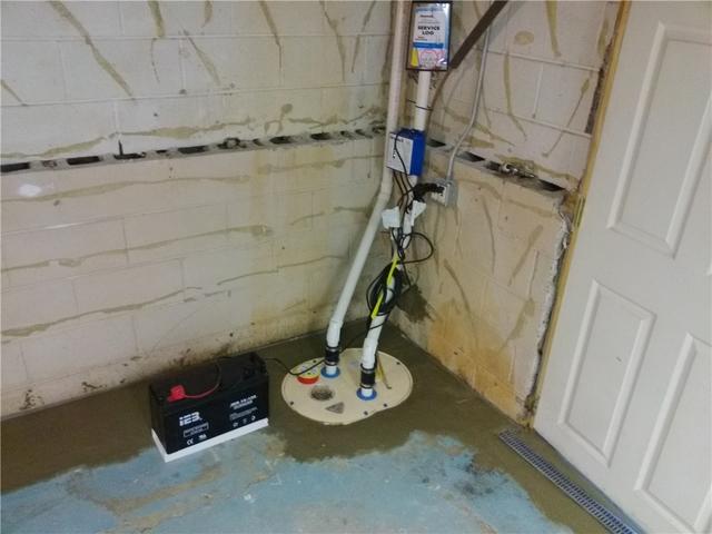 TripleSafe Sump Pump System