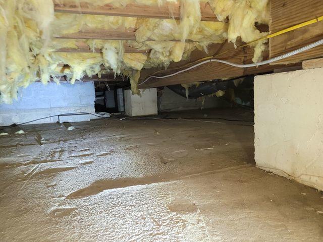 Damp Crawl Space Before