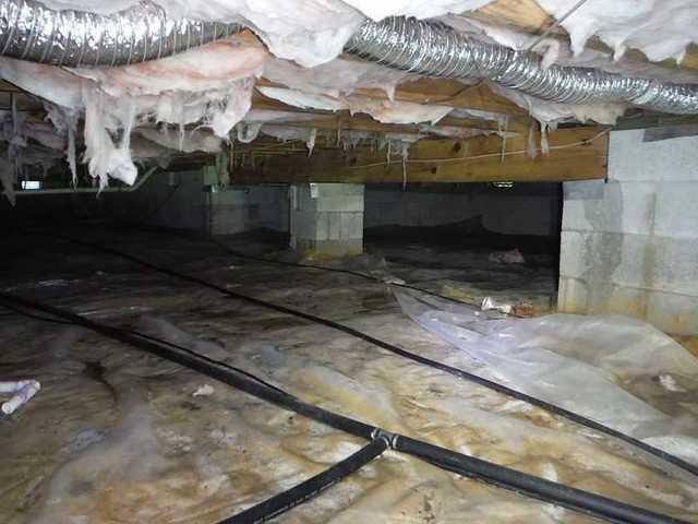 Before Encapsulating a Frankford, DE Crawl Space