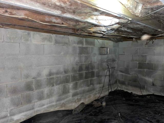 Moisture in Crawl Space