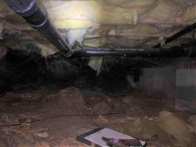 Moldy and Wet Crawl Space