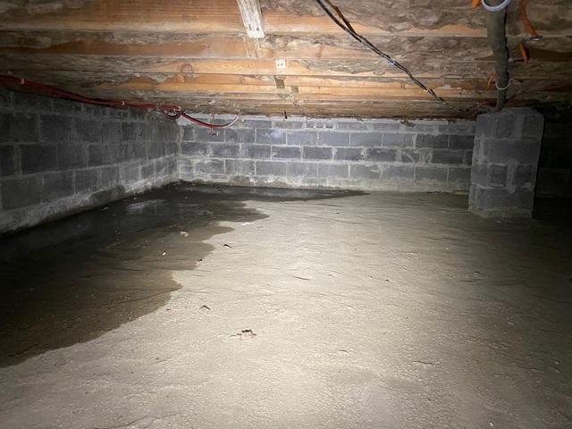 Crawl Space Before