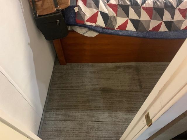 Carpet Damage Cont...