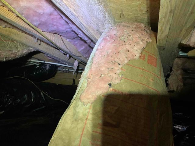 Fiberglass Insulation