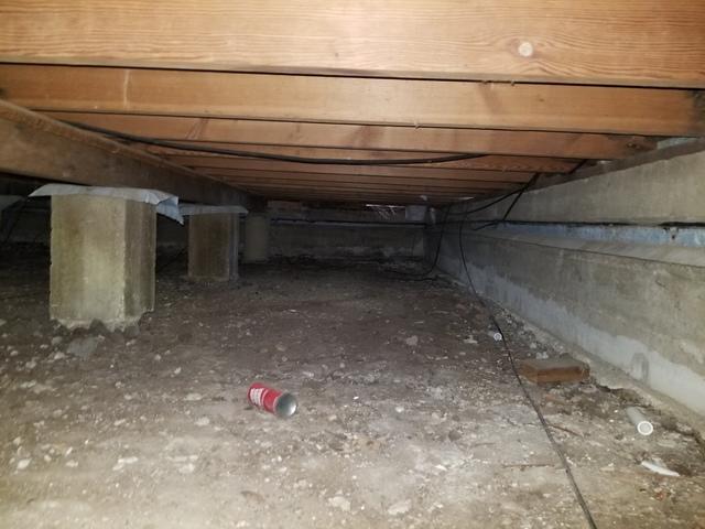 Before Crawl Space Repair