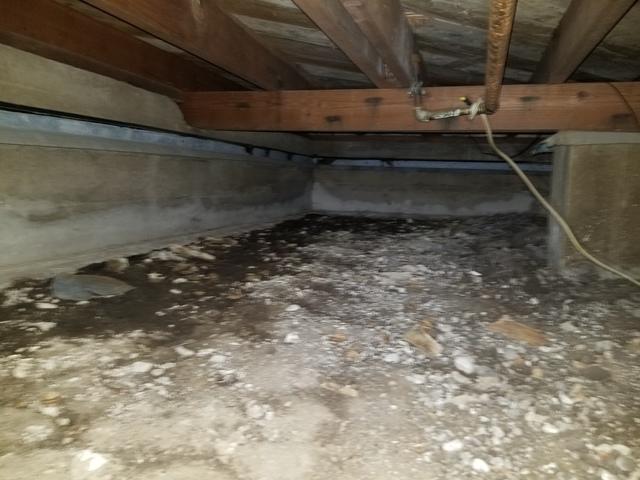 Before Crawl Space Repair