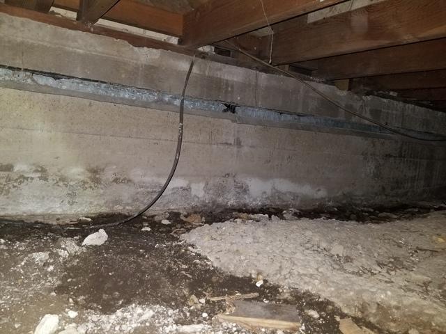 Before Crawl Space Repair