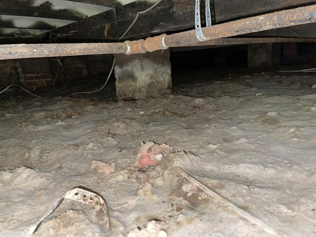 Before Crawl Space Encapsulation