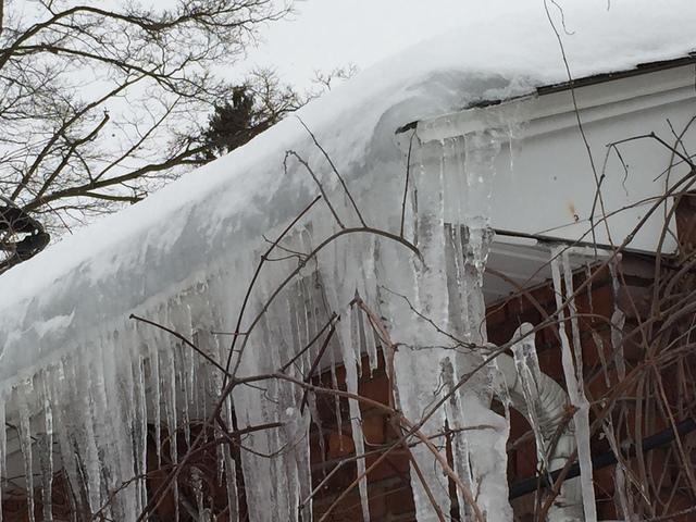 Thick icicles on roof