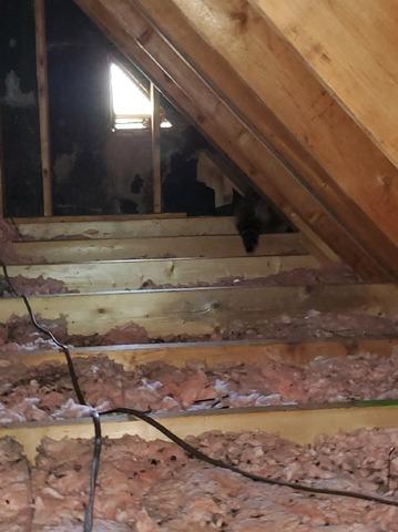 Lack of insulation and uninsulated electrical wires