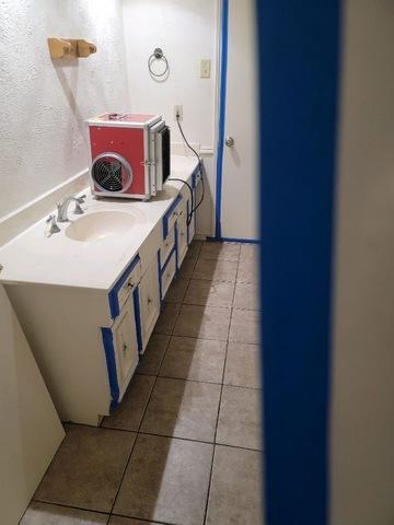 During Mold Remediation