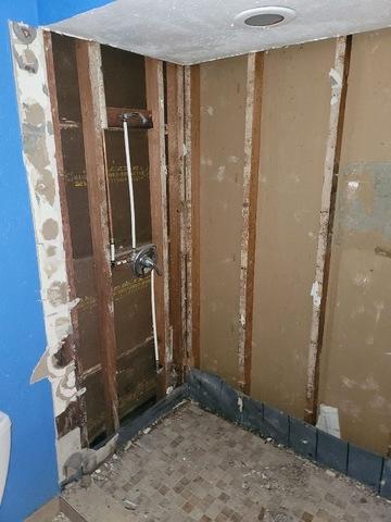After Mold Remediation
