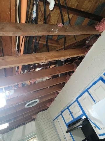 After Mold Remediation