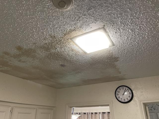 Before Mold Remediation