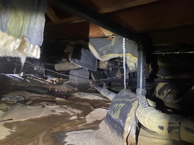 Crawl Space Before