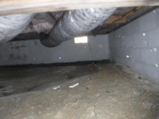 Before Encapsulating Dagsboro, DE Crawl Space