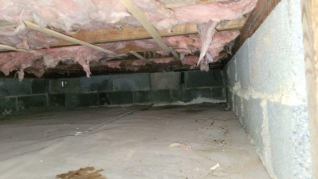 Dirty Crawl Space