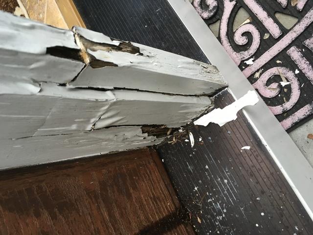 Carpentry Damage