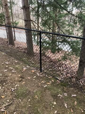 Black 48" Standard Chain Link Fence