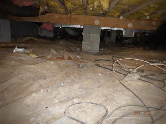 Before Encapsulating Crawl Space in Magnolia, DE