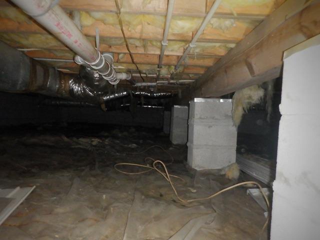 Before Encapsulating Selbyville, DE Crawl Space