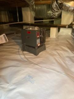 Dehumidifying Air System