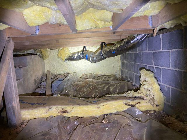 Mold in the Crawl Space