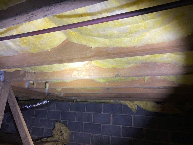 Fiberglass batts can support the growth of mold.