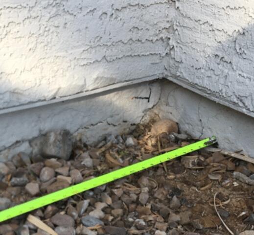 Horizontal Concrete Cracks in Stem Wall Down in Phoenix, Arizona