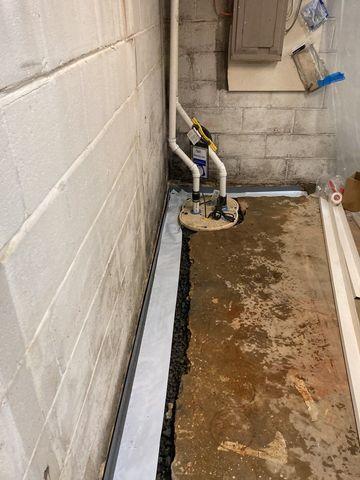 Water Guard and Triple Safe sump pump