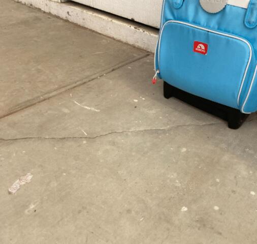 Foundation Settlement Signs: Cracks on the floor