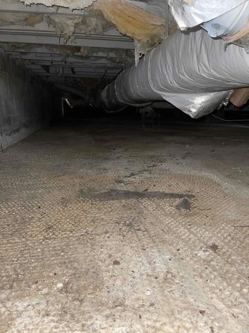 Crawl Space Before