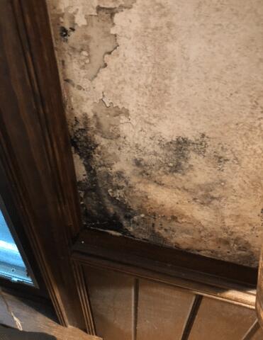 Black Mold Discovered Surrounding the Window