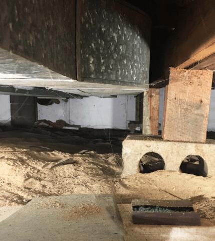 Crawl Space During Inspection and Estimate Visit