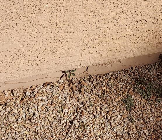 Signs of Stem Wall Failure: Horizontal Cracks