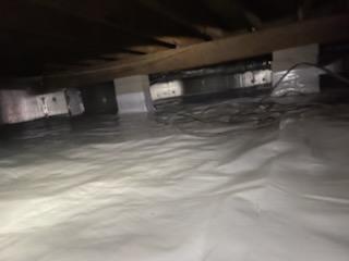 An antimicrobial, called Shockwave, was used to eliminate the mold and mildew growth on the floor joists of the crawl space. Shockwave will eliminate mold spores but it will not remove any staining left behind from mold. It is important to note that mold and mildew can grow back if the relative humidity and environment are not regulated and controlled.