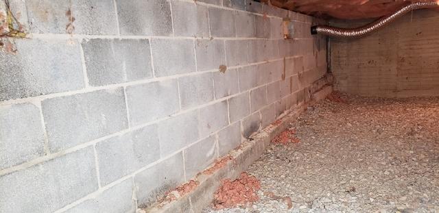 Front entrance of Crawl Space