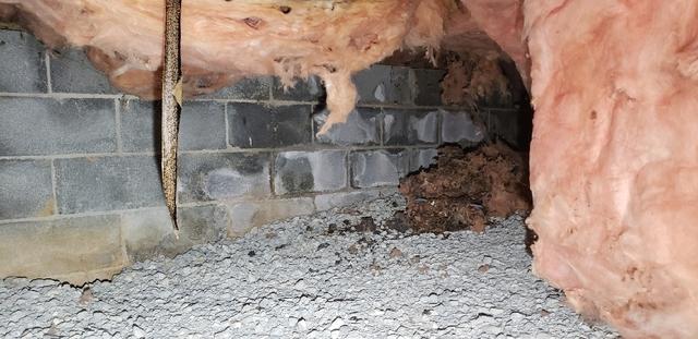 Corner of Crawl Space