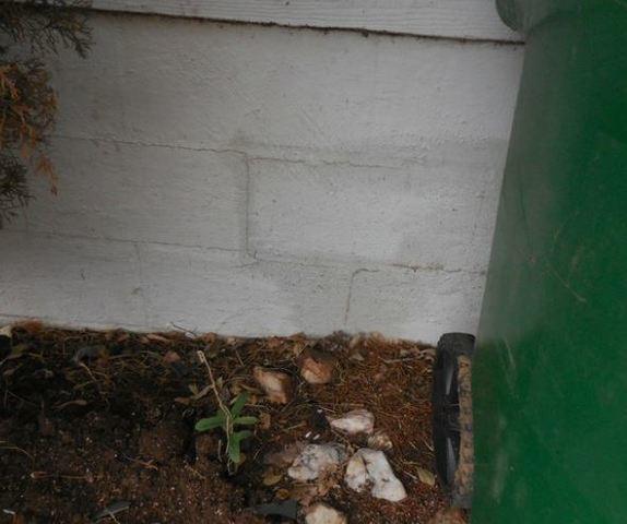 Exterior Stairstep Cracks