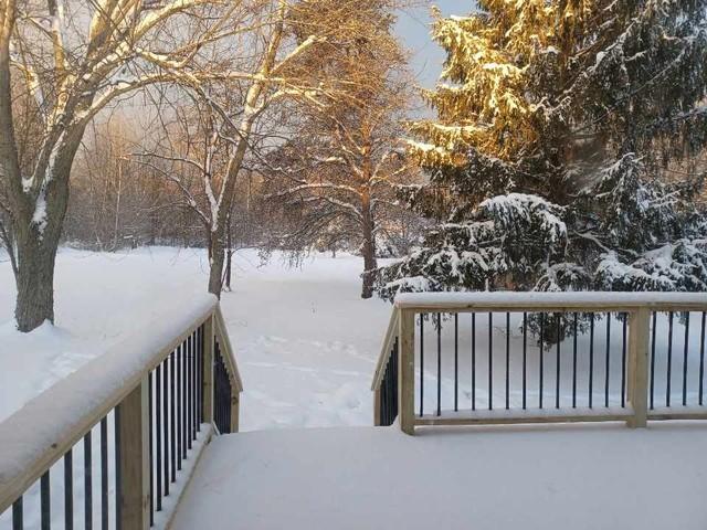 Treated wood deck