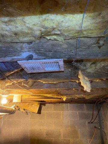 This insulation on the crawl space ceiling is moldy and falling down. This is extremely common in vented crawl spaces.