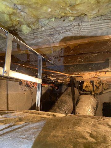 A dirty crawl space is a home to several insects and pests.