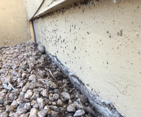 Flaking Paint in Stem Wall Down in Peoria, Arizona