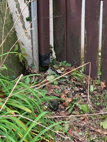 Closer View of Drainage Line Before