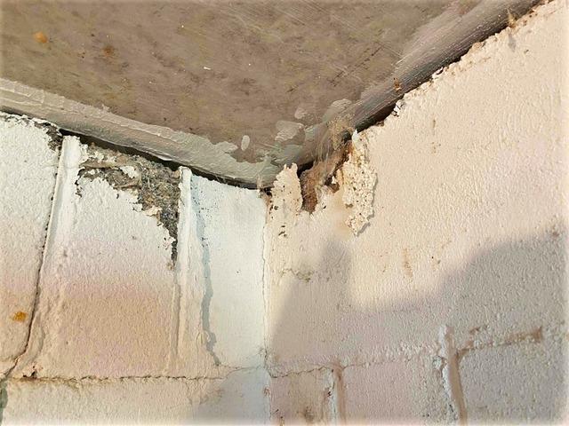 Mold Discovered in Forest Lake, MN Home