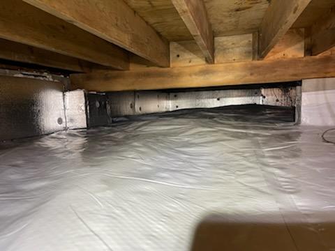 Mold Remediation