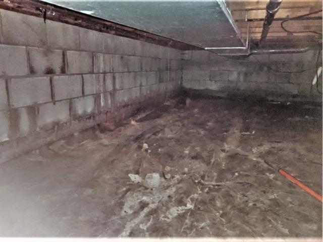 Bad Smell Discovered in Maple Grove, MN Crawl Space