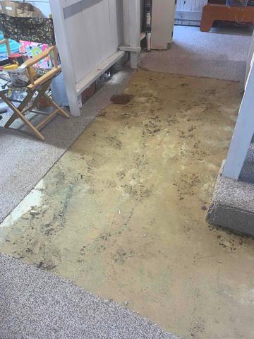 Wet Basement Floor
