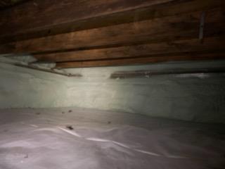 Mold Remediation