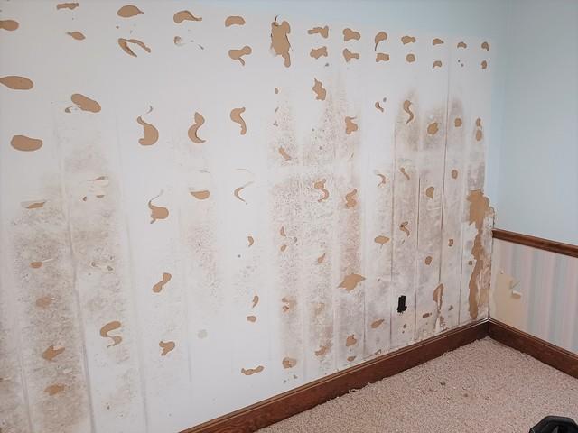 Water Damaged Wall